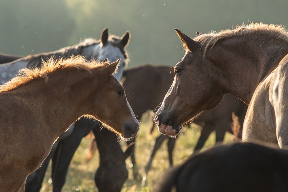 Photograph by Люда Солдатченкова