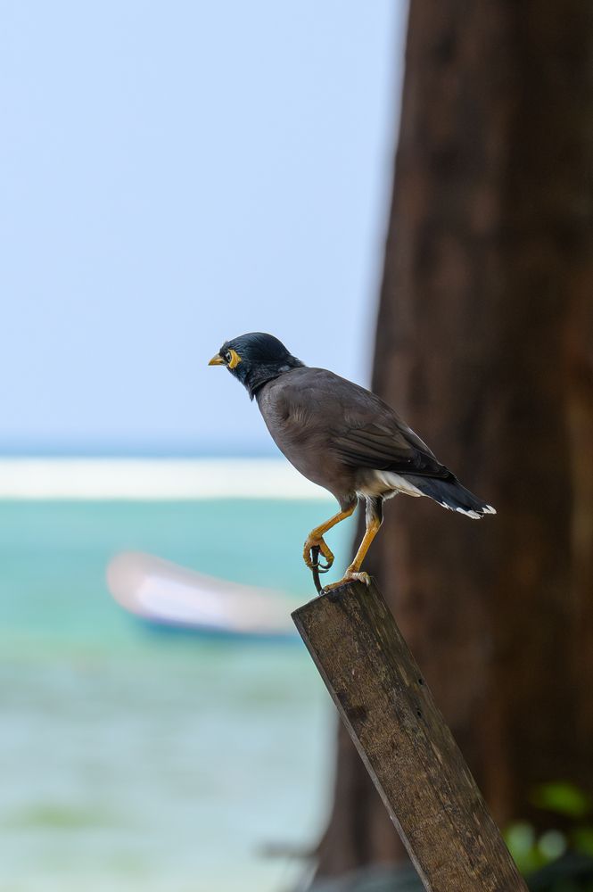 Photograph by Вячеслав Белов