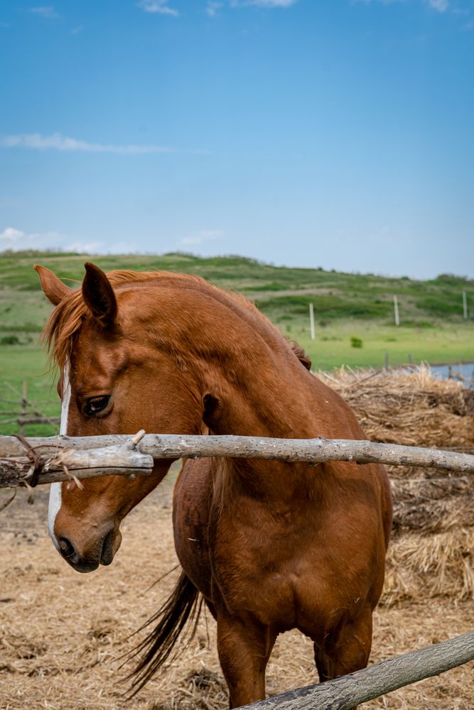 Фотография автора Наталья
