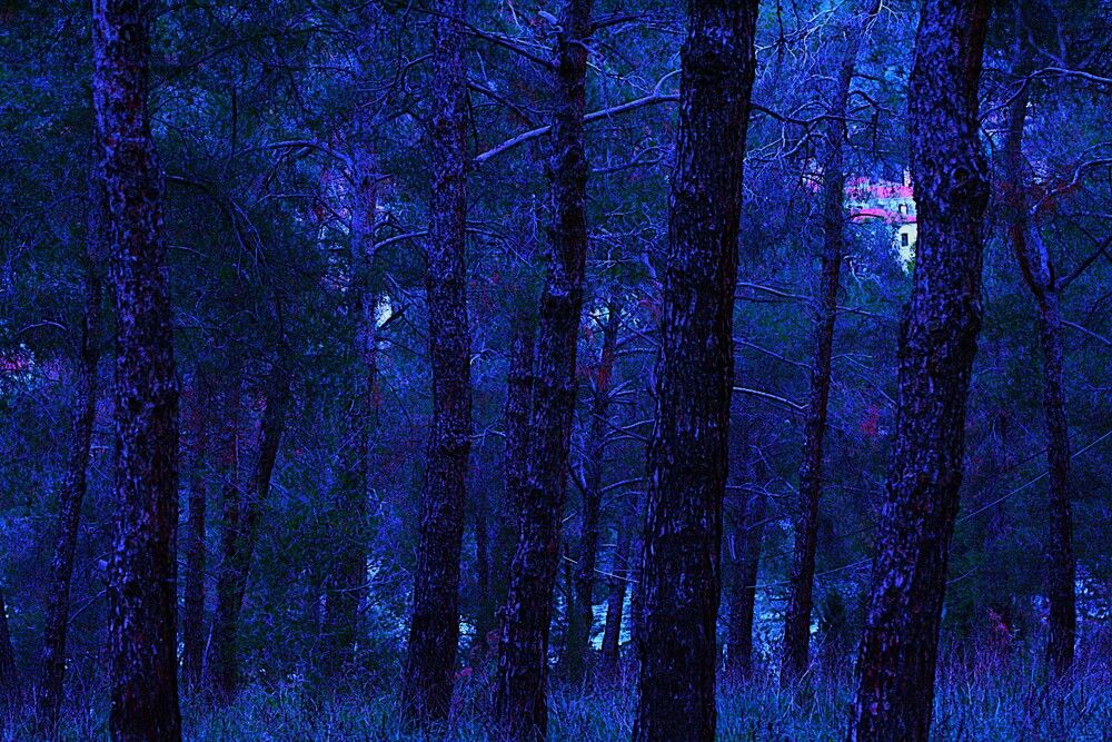 Photograph by kostis sel