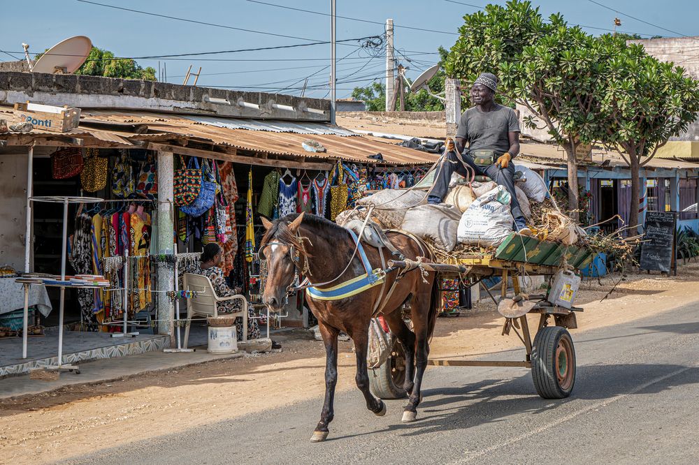 Фотография автора Jacky Weckx