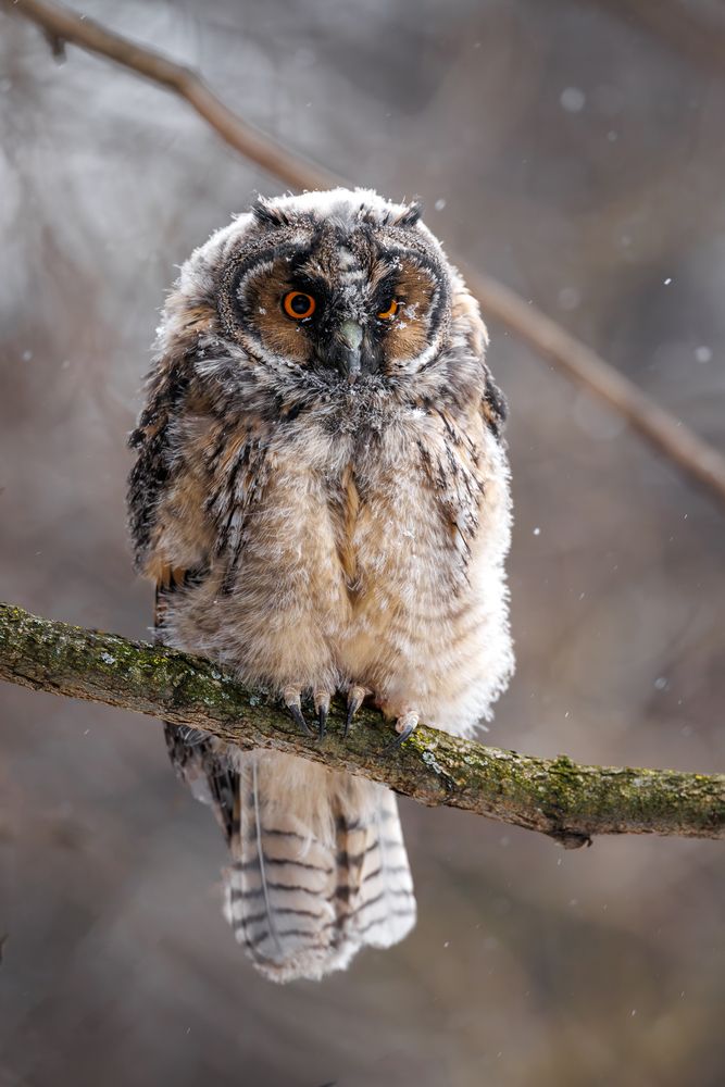 Фотография автора Антон Науменко