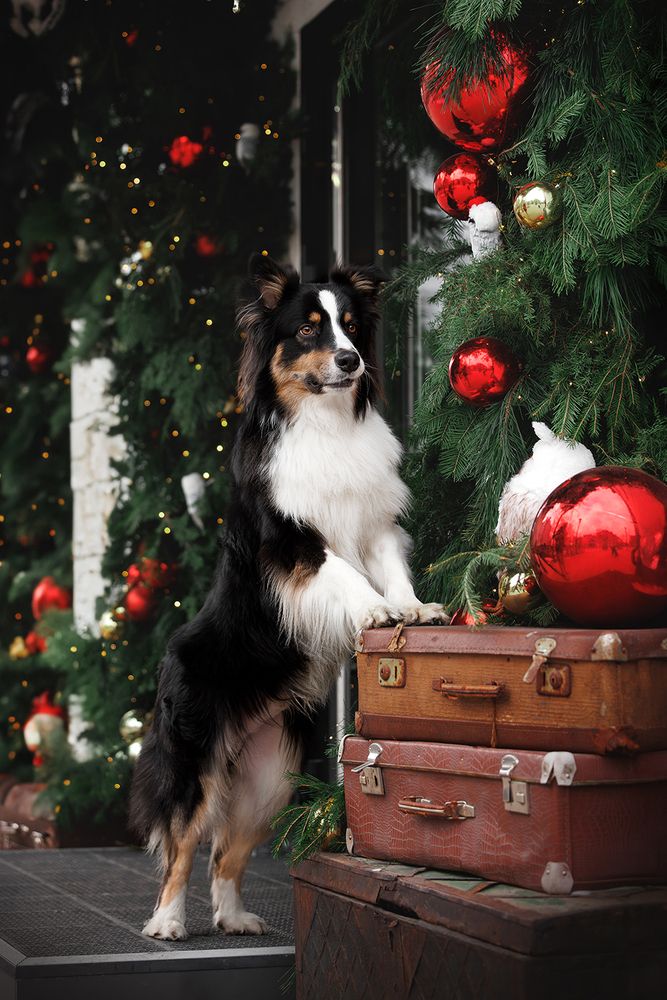 Photograph by Ольга Легенькая