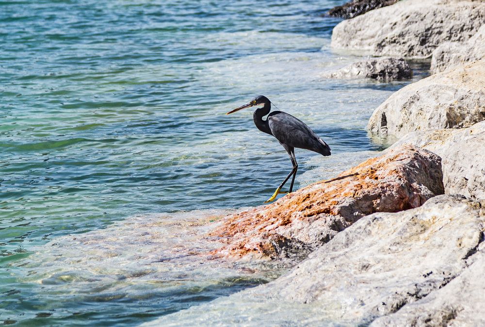 Photograph by Каргин Валерий