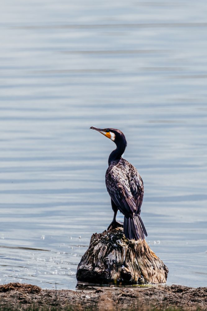 Photograph by Корчагина Оксана