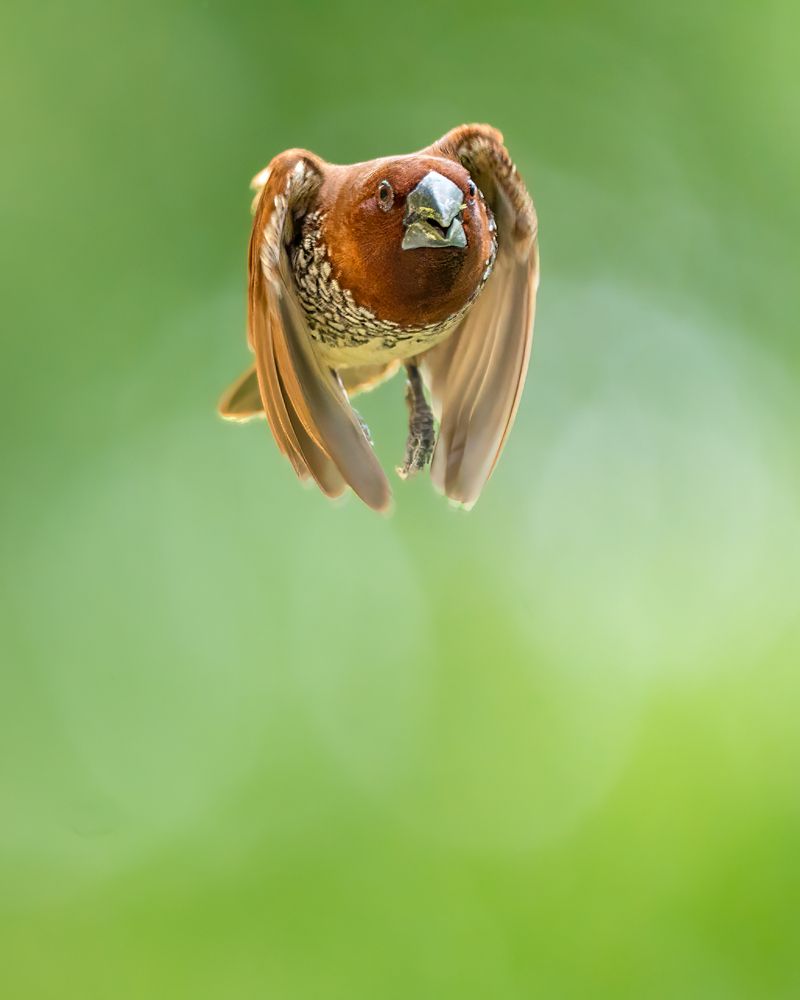 Photograph by Abhishek Kumar