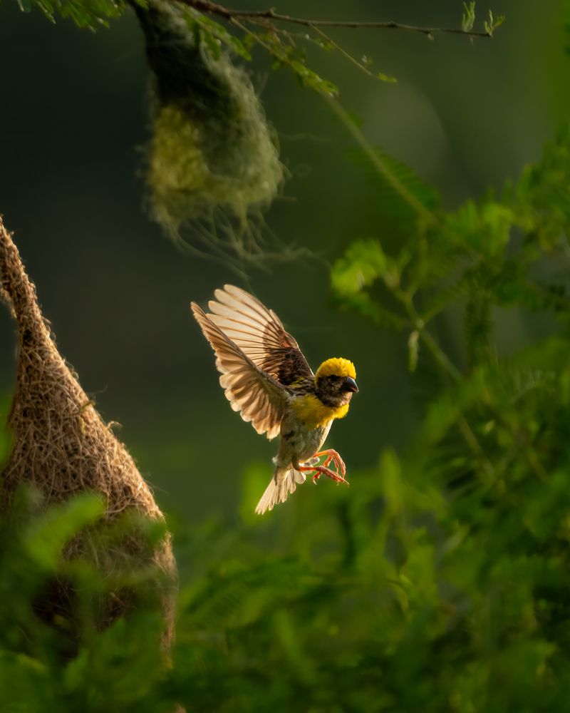 Photograph by Abhishek Kumar