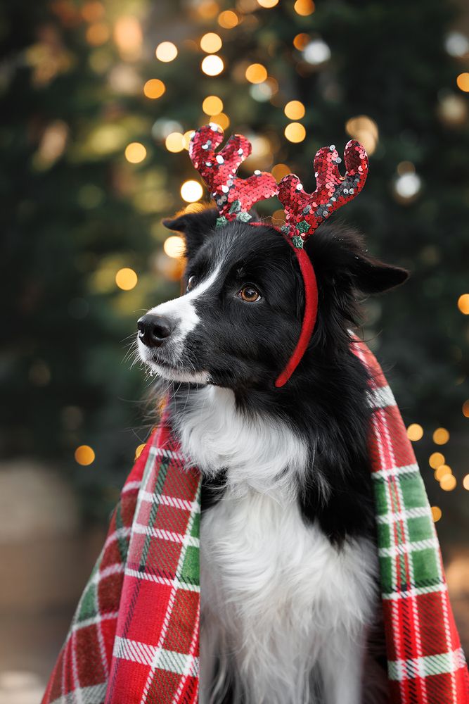 Photograph by Ольга Легенькая