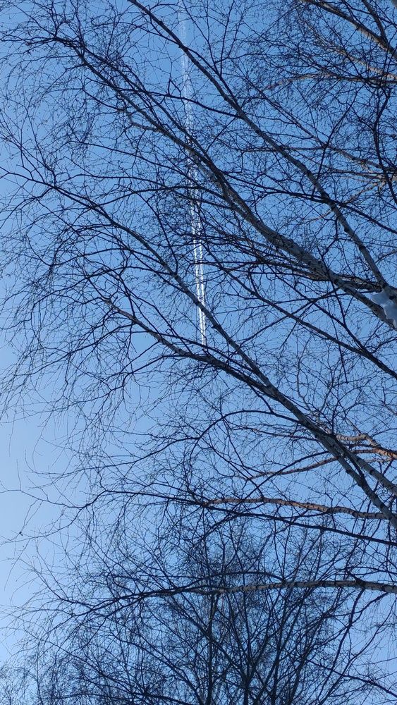 Фотография автора Наталья Шендяпина