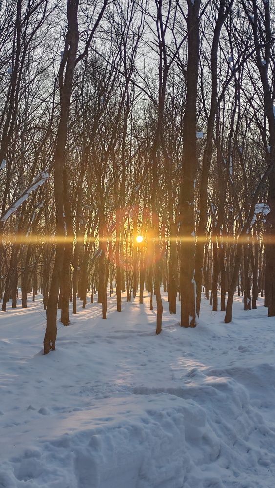 Фотография автора Наталья Шендяпина