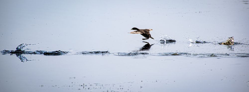 Photograph by Avijit Dutta