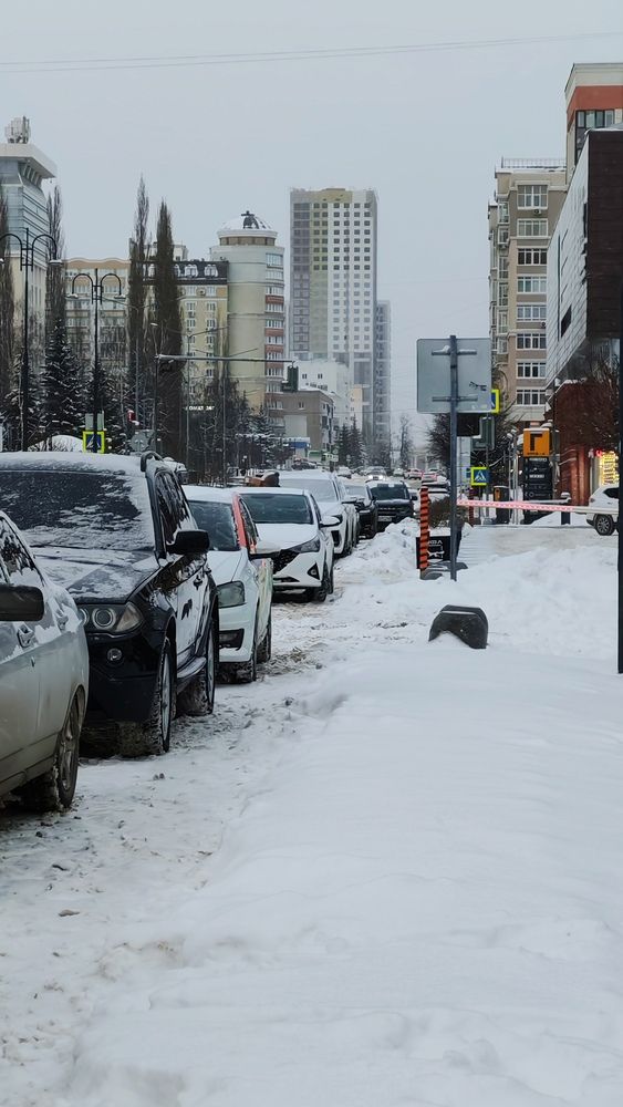 Фотография автора Наталья Шендяпина