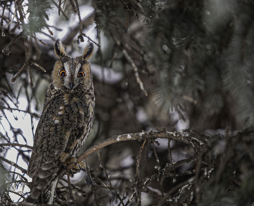 Photograph by Лупина Михаил