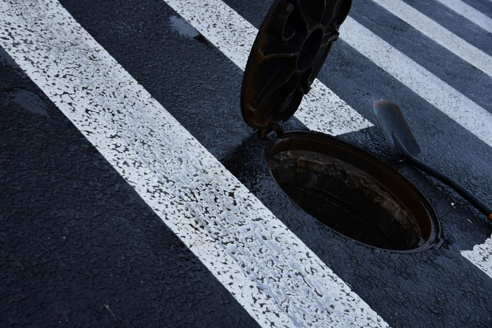 Photo #13094400