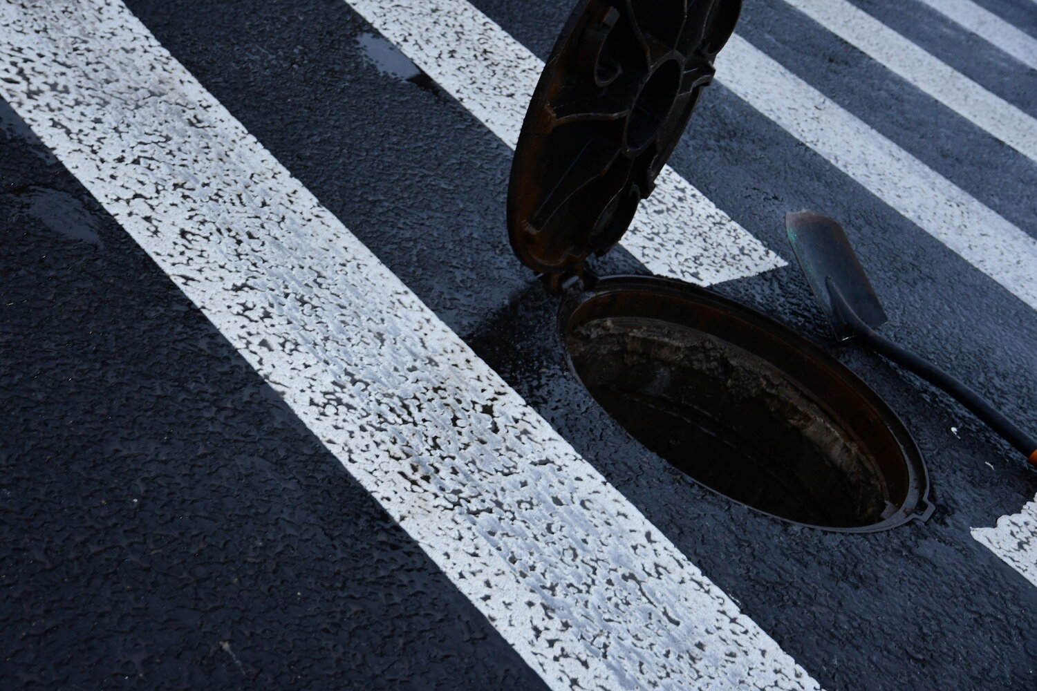 Photo #13094400