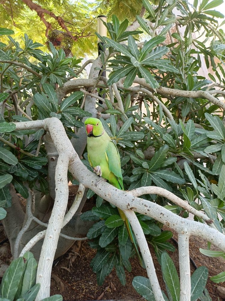 Фотография автора Кристина Киселёва