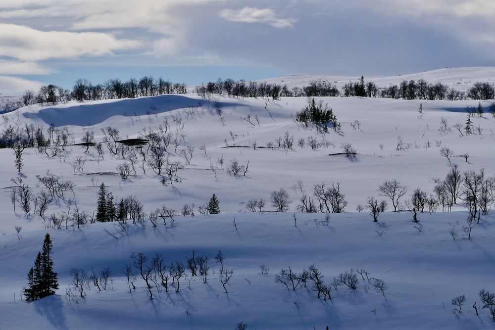 Зима в горах