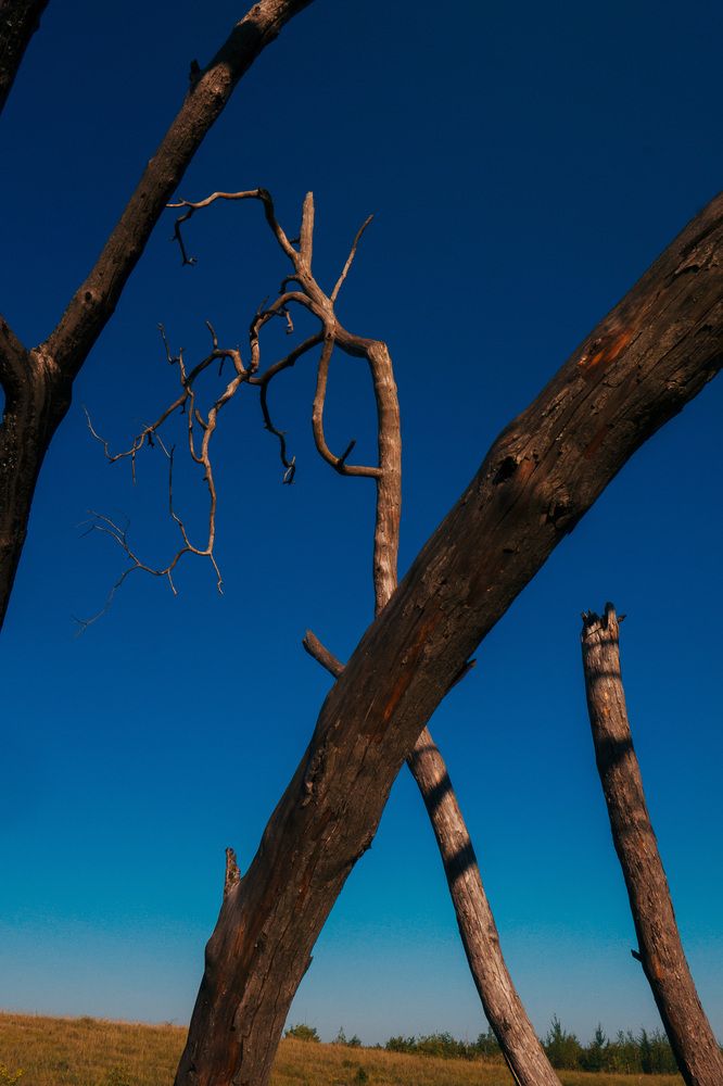 Скрюченный