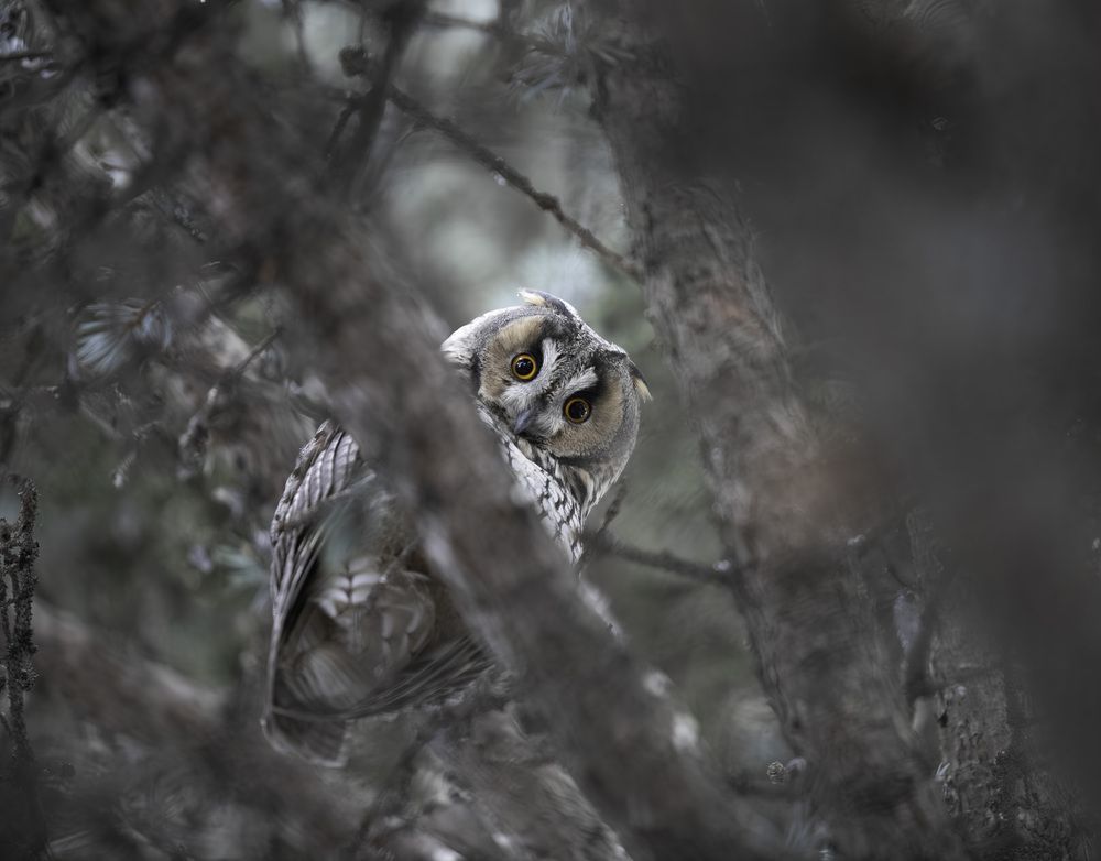 Photograph by Лупина Михаил