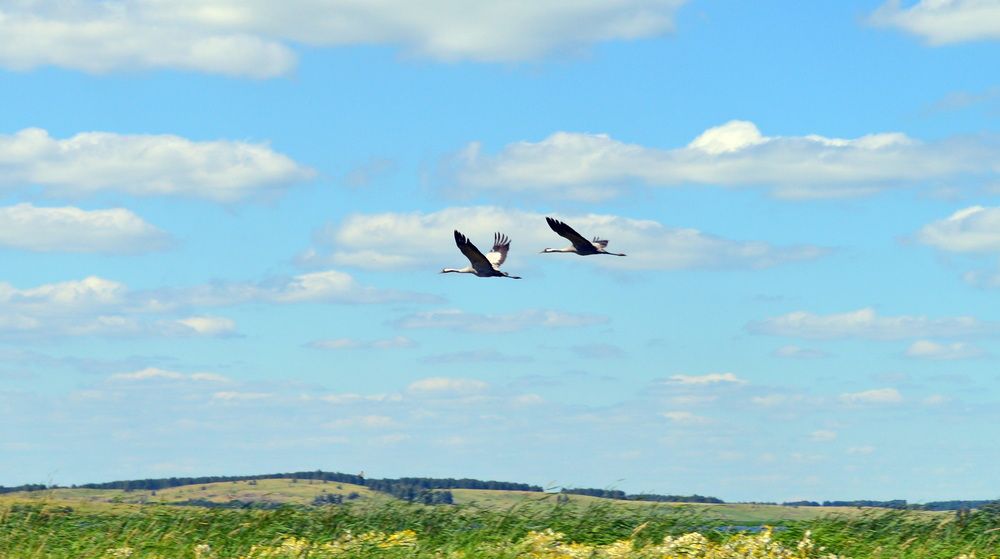 Photograph by Анатолий Пермяков