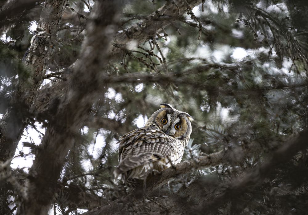 Photograph by Лупина Михаил