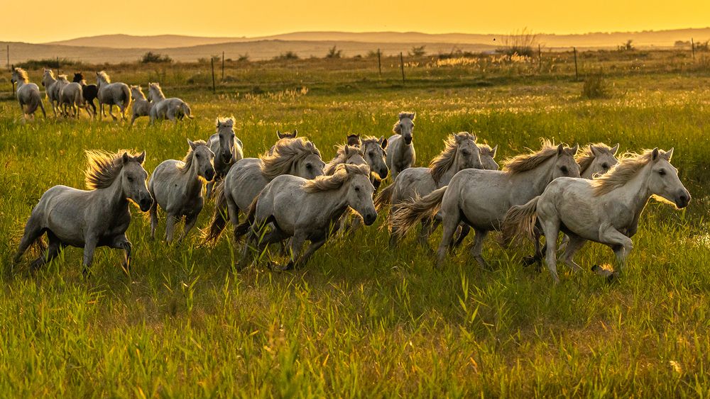 Photograph by Despina Anastasis