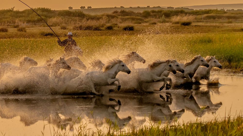 Photograph by Despina Anastasis