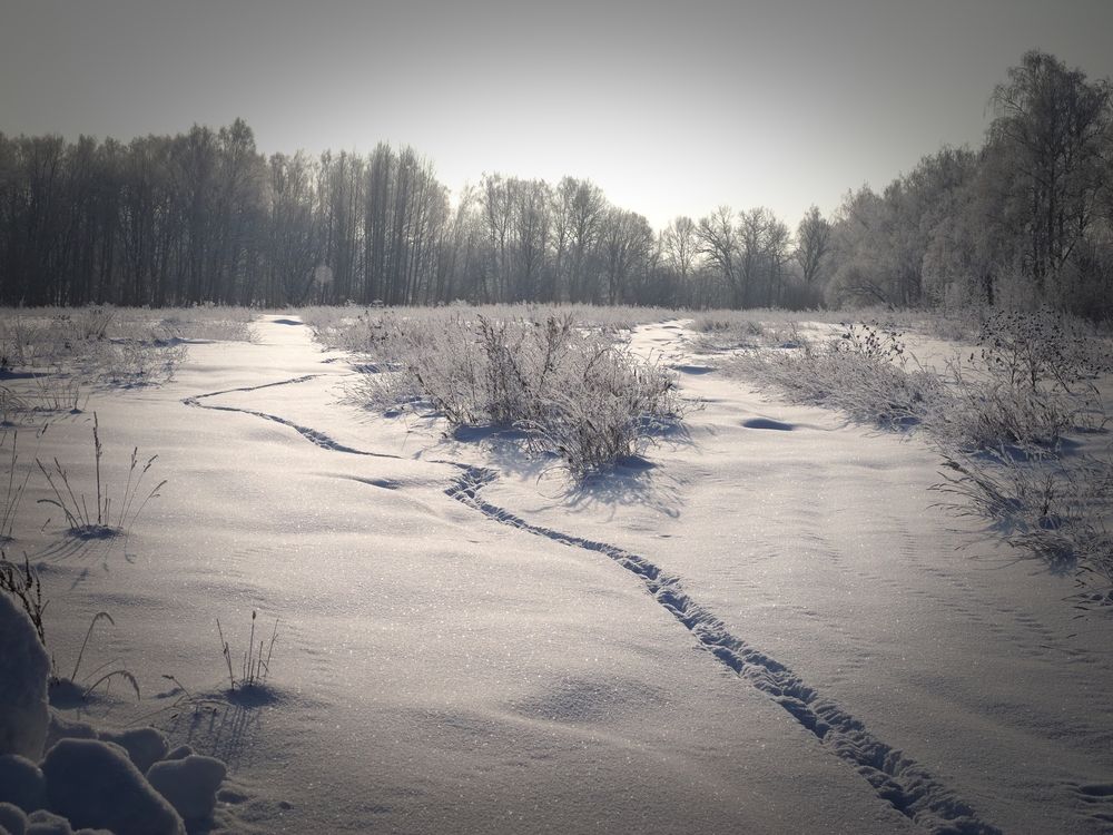 Photograph by Виктор Комиссаров