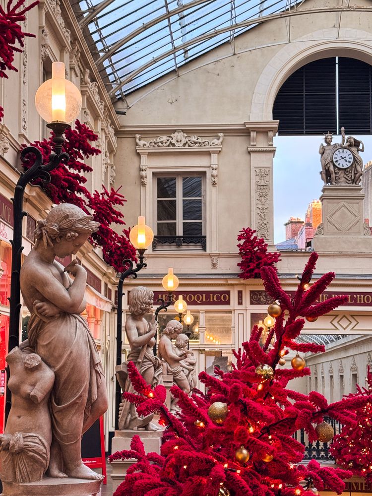 Photograph by Аlina BRAZIUL