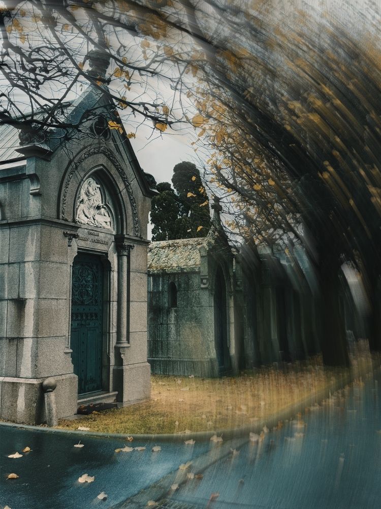 Photograph by Аlina BRAZIUL