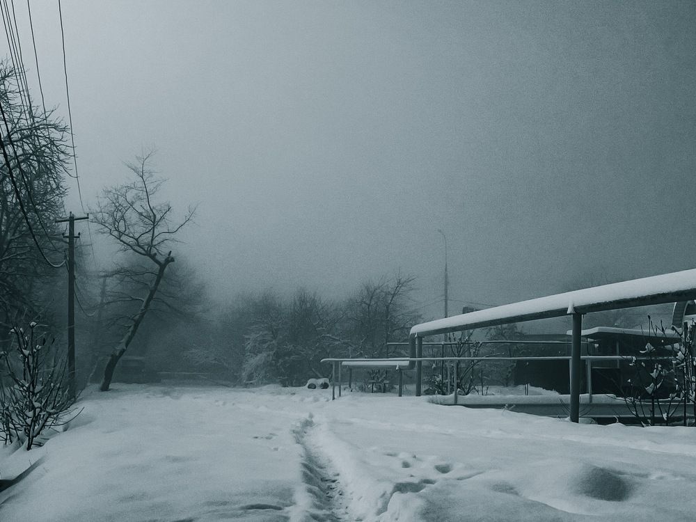 Фотография автора Николай Лысенко