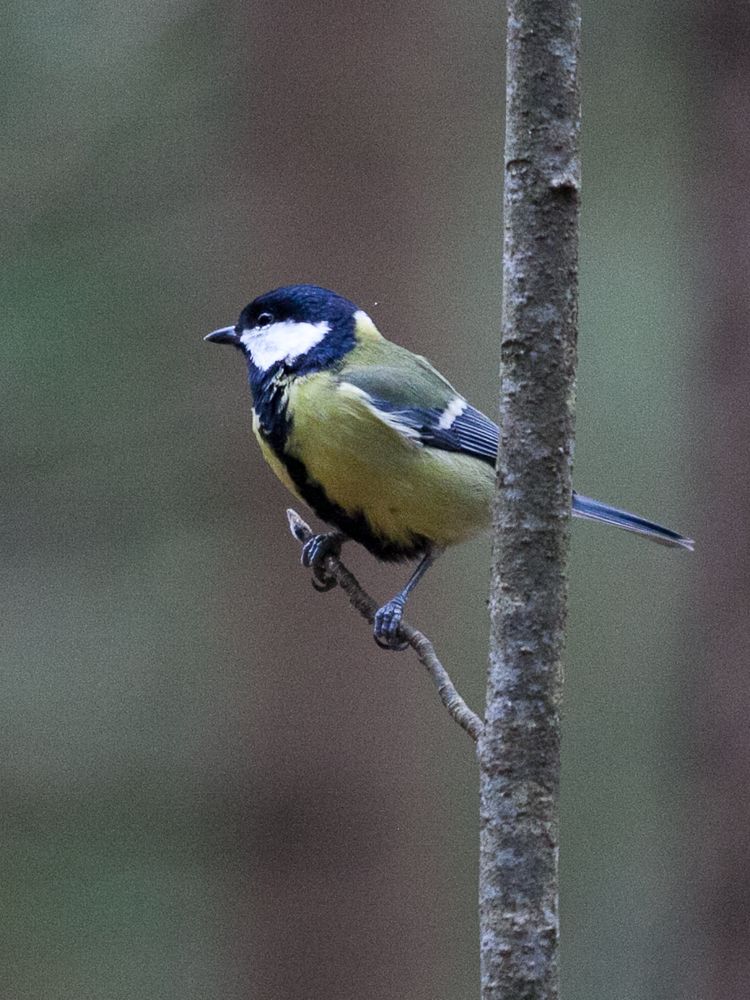 Photograph by Лолита Богачева