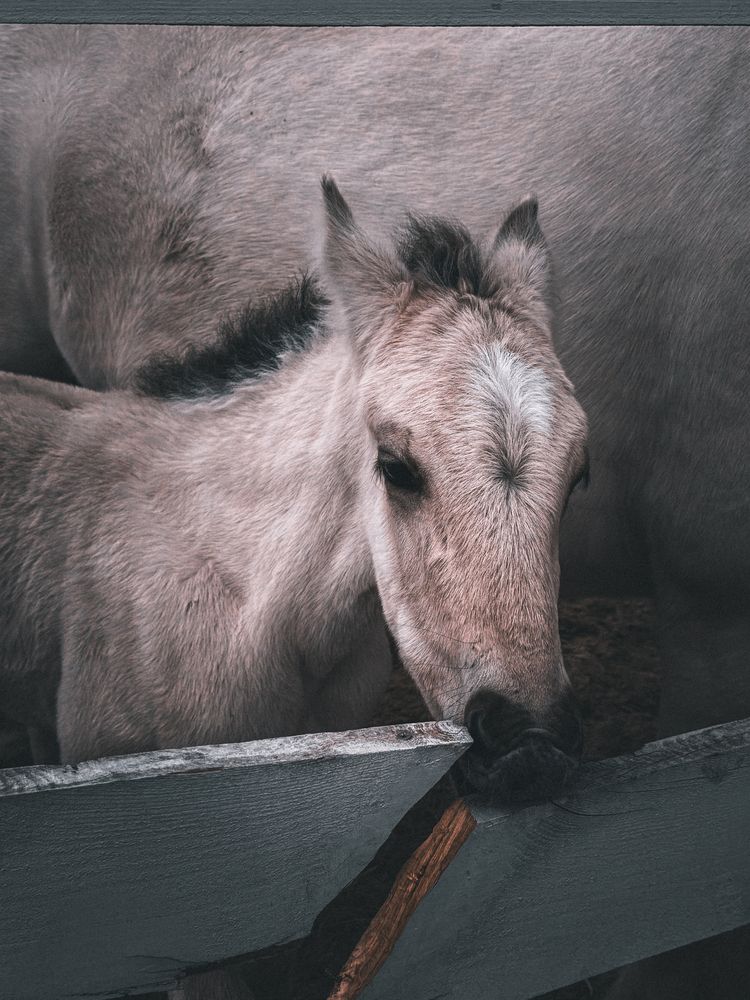 Photograph by Елена Башмакова