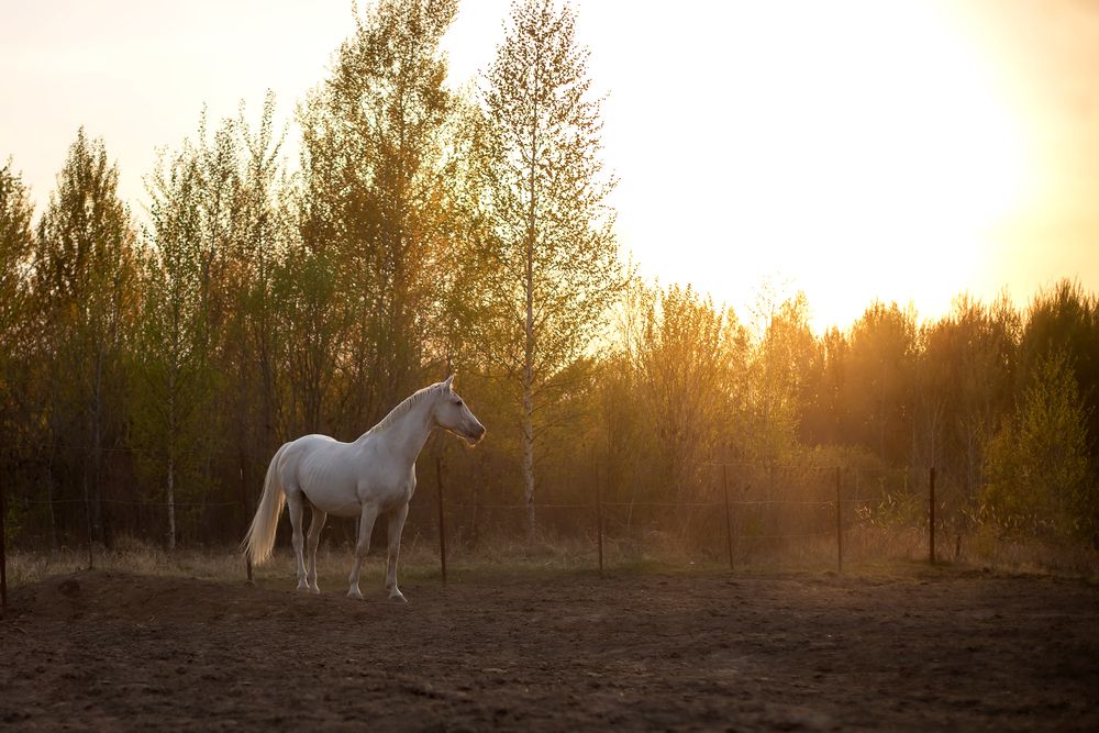 Photograph by Ольга Колобова