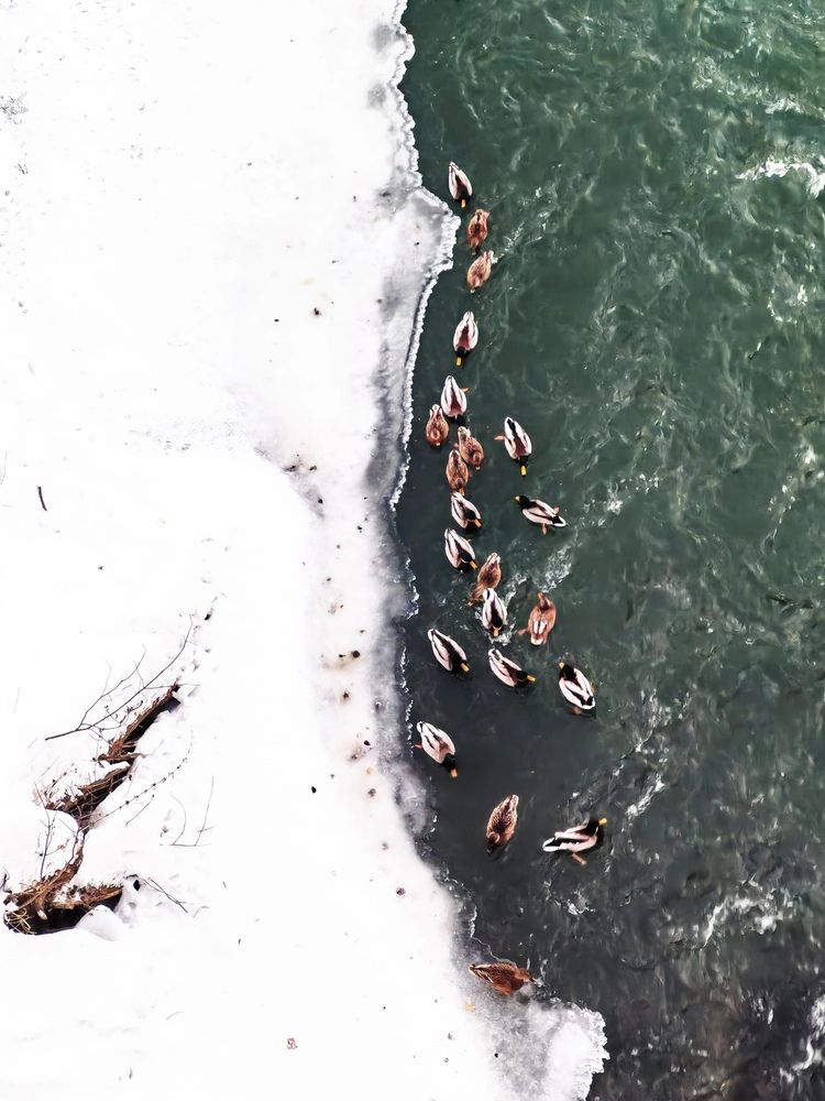 Photograph by Альбина Майкова