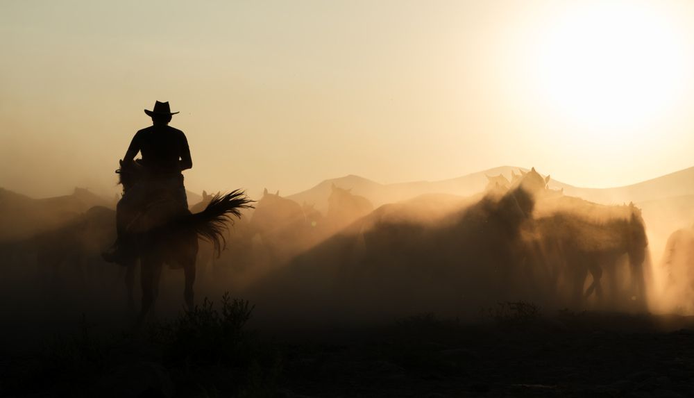 Photograph by Aynur Bostan