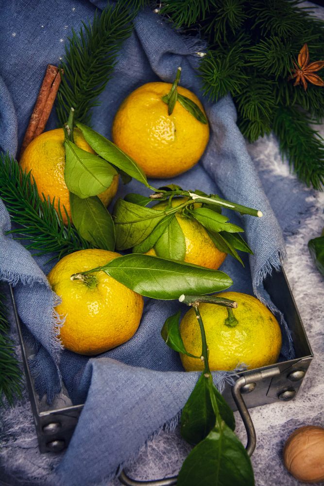 Photograph by OLGA LIZ