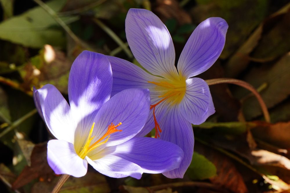 Photograph by Galya Zhdanova