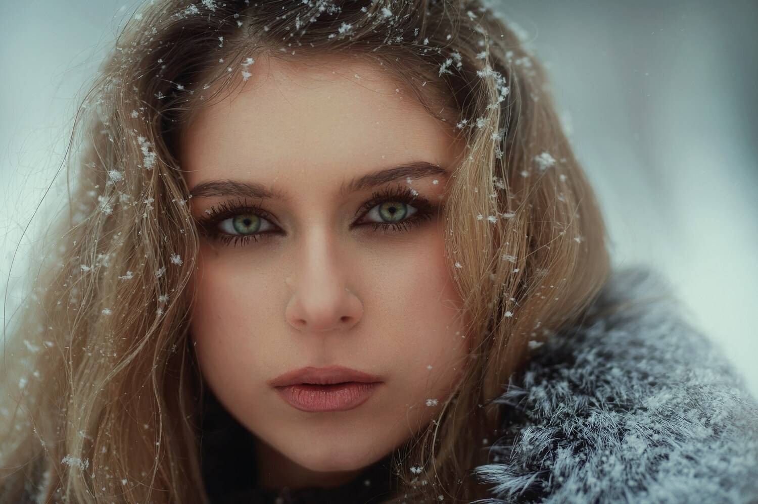 Фотография #13094931