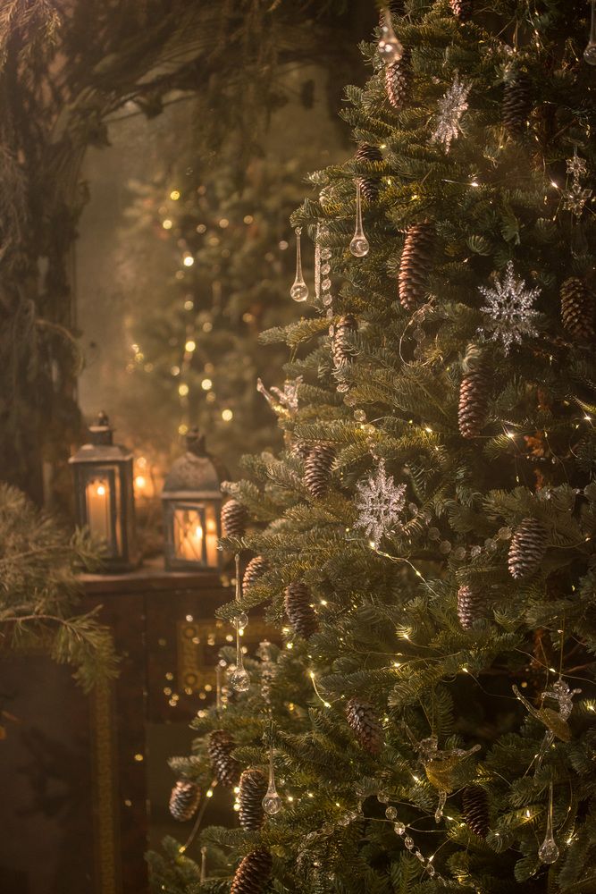 Photograph by Луцук Мария