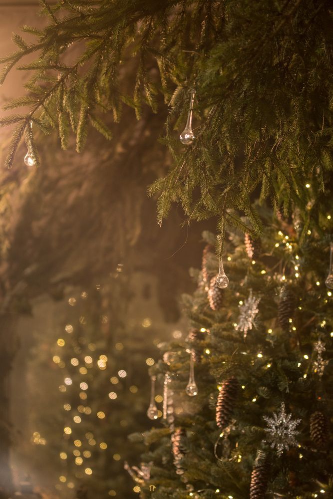 Photograph by Луцук Мария