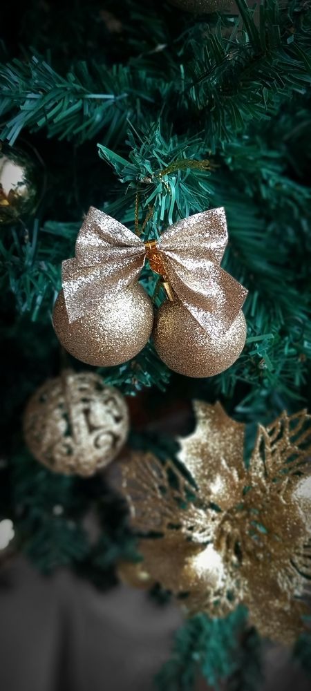 Фотография автора Ольга