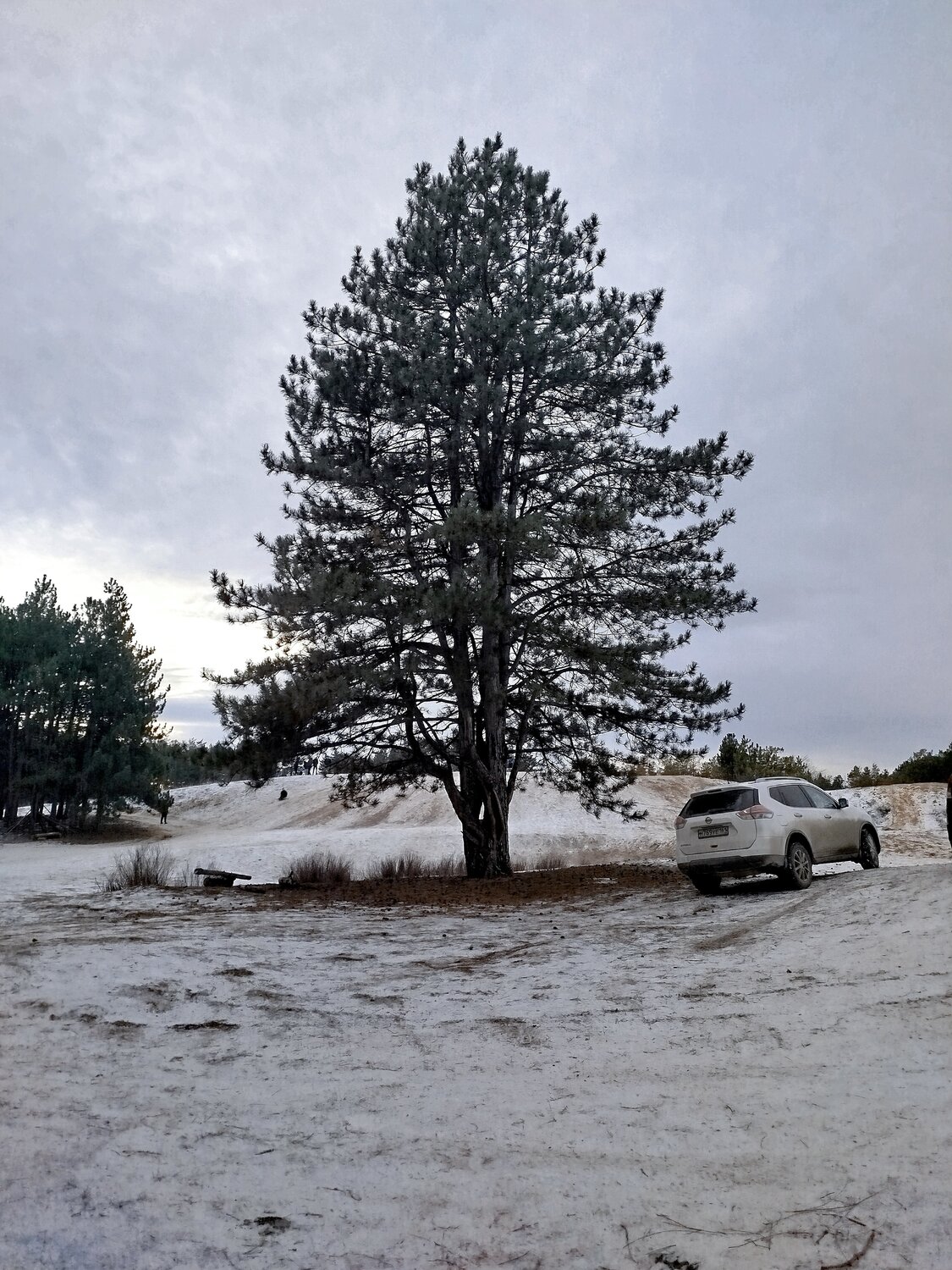 Photo #13095050