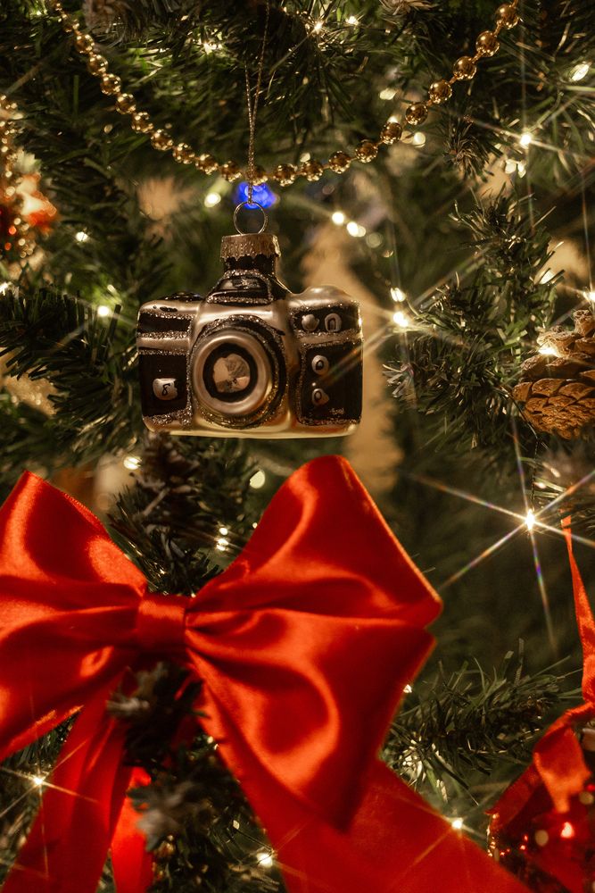 Photograph by Ольга Захарова