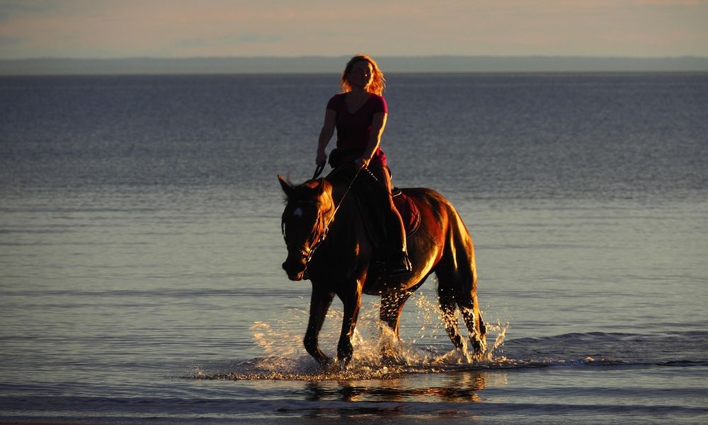 Photograph by ANDREY PERESHEIN