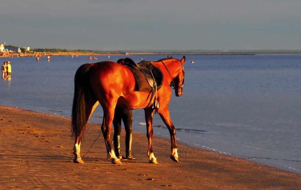 Photograph by ANDREY PERESHEIN