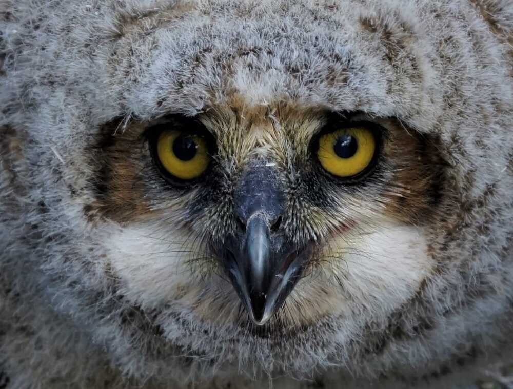 Photograph by Станислав Заречанский