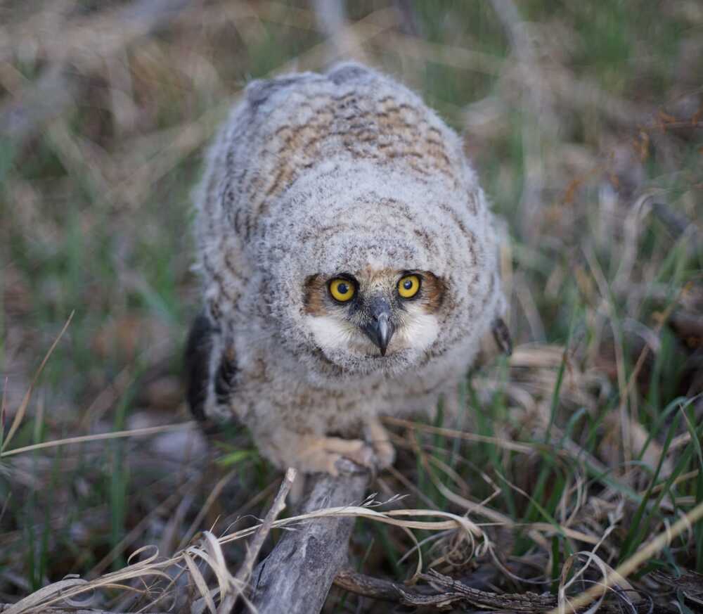 Photograph by Станислав Заречанский