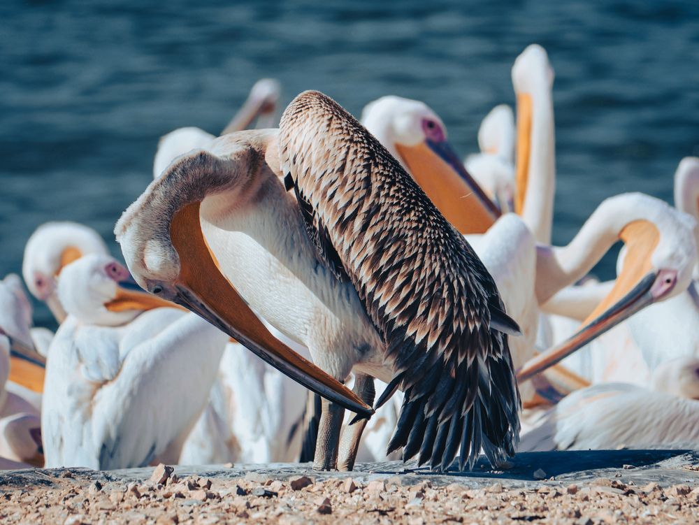 Photograph by Светлана Ханина