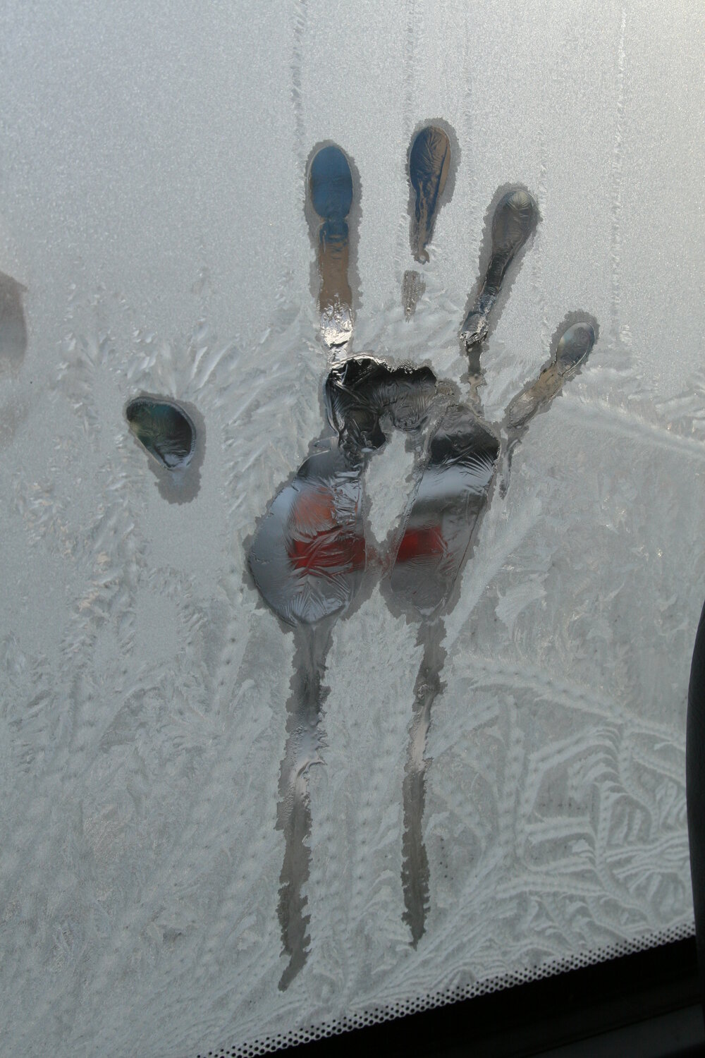Photo #13095245